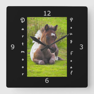 Kneeling Dartmoor Pony Foal Quadratische Wanduhr