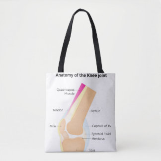 Knie-Anatomie