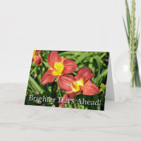 Knie Operation Floral bald wieder gut