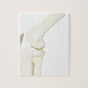 Kniegelenkmodell des menschlichen Beines Puzzle