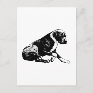 Knisternde Note des Friedens Postkarte