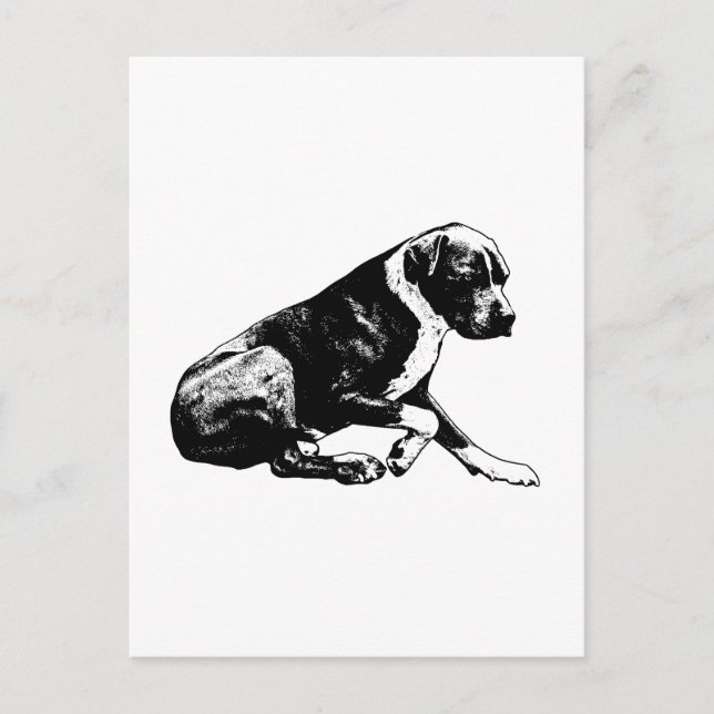 Knisternde Note des Friedens Postkarte (Vorderseite)