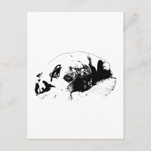 Knisternder Tag, Frohe Nachrichten Postkarte