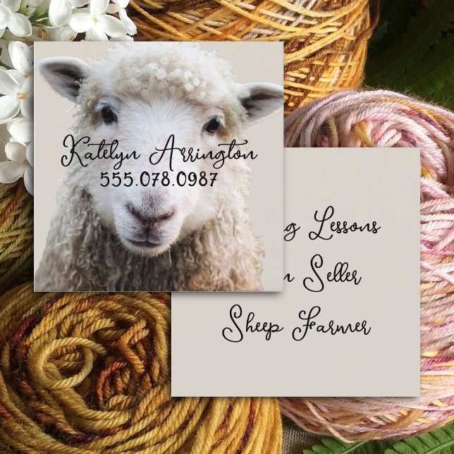 Knitting FIber Sheep Wool Square Business Cards Quadratische Visitenkarte (Von Creator hochgeladen)