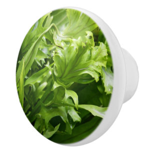 Knob - Fischschwanz Fern Keramikknauf
