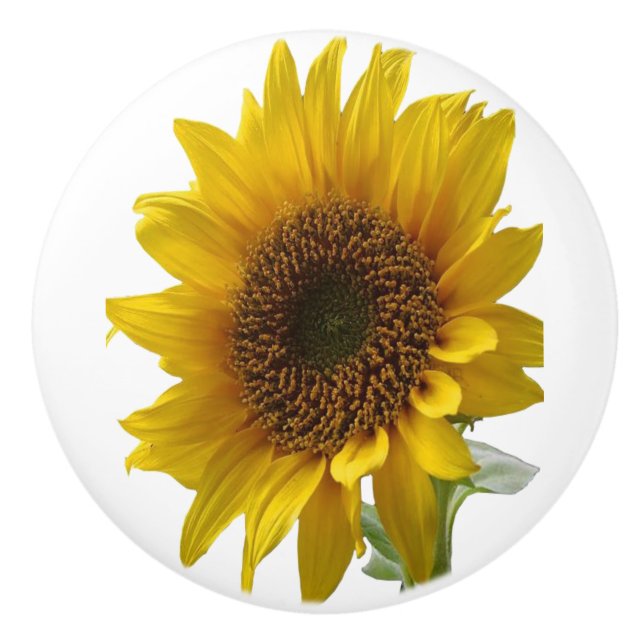 Knob Sunflower Keramikknauf (Vorderseite)