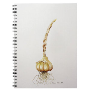 Knoblauch 1998 notizblock