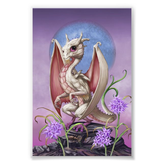 Knoblauch-Drache 4x6 Print Fotodruck (Vorne)