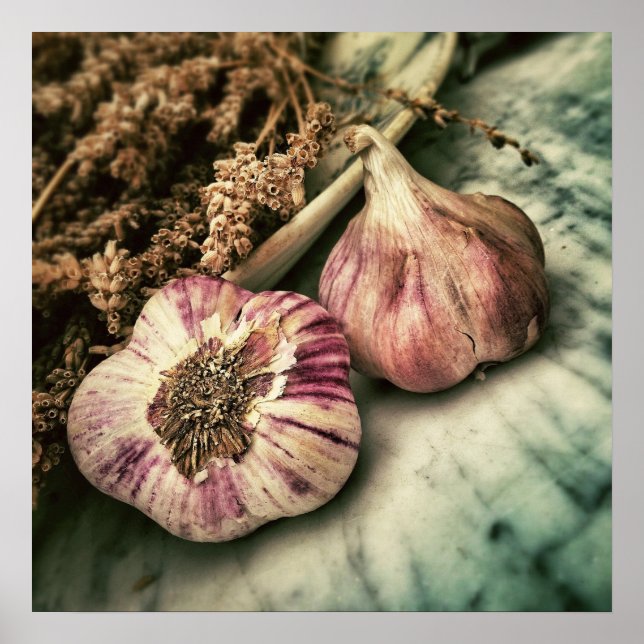 Knoblauch/Feinschmecker-Küchenplakat Poster (Vorne)