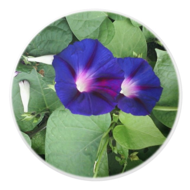 Knoblauch für benutzerdefinierte Keramiken mit Blu Keramikknauf (Vorderseite)