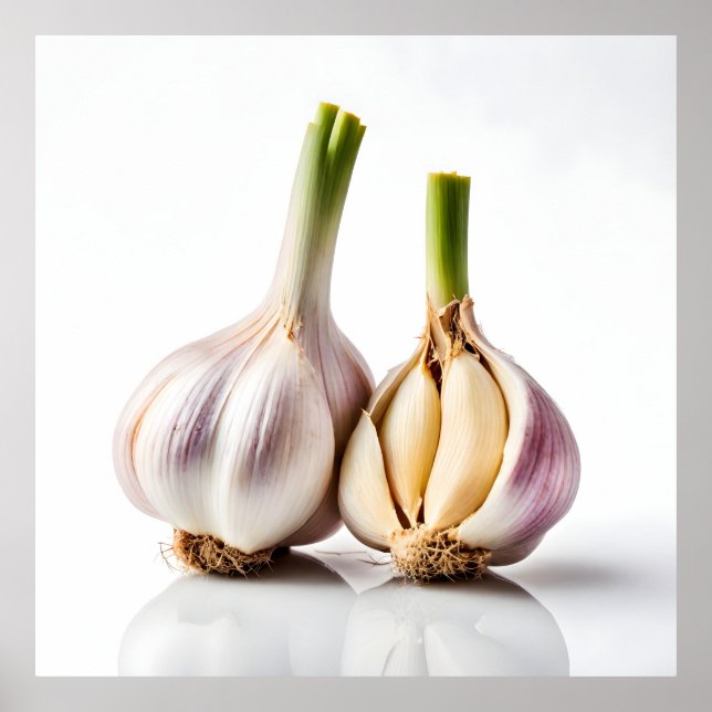 Knoblauch Poster (Vorne)