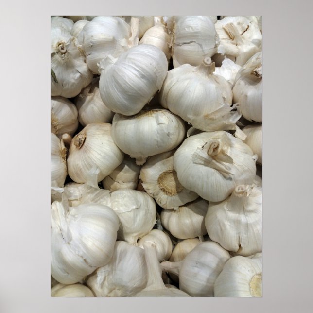 Knoblauch Poster (Vorne)