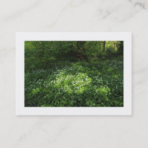 Knoblauchtopf (grenzt) visitenkarte