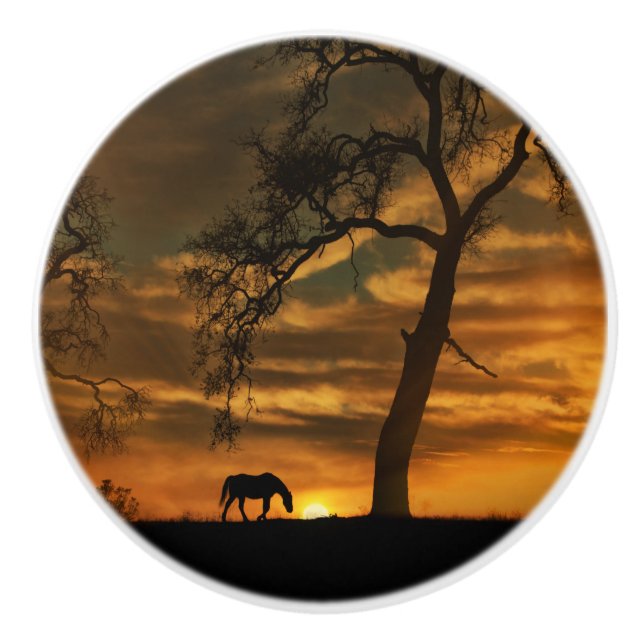 Knobs und Puls des Südwestens Keramikknauf (Vorderseite)