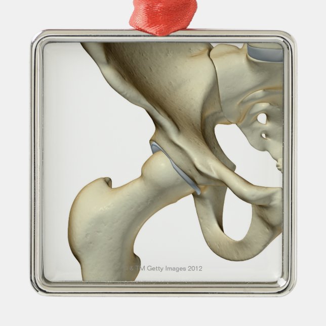 Knochen der angesagten 5 silbernes ornament (Vorne)