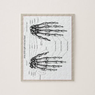 Knochen der menschlichen Hand Puzzle