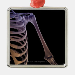 Knochen der Schulter Silbernes Ornament