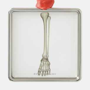 Knochen des Beines Ornament Aus Metall