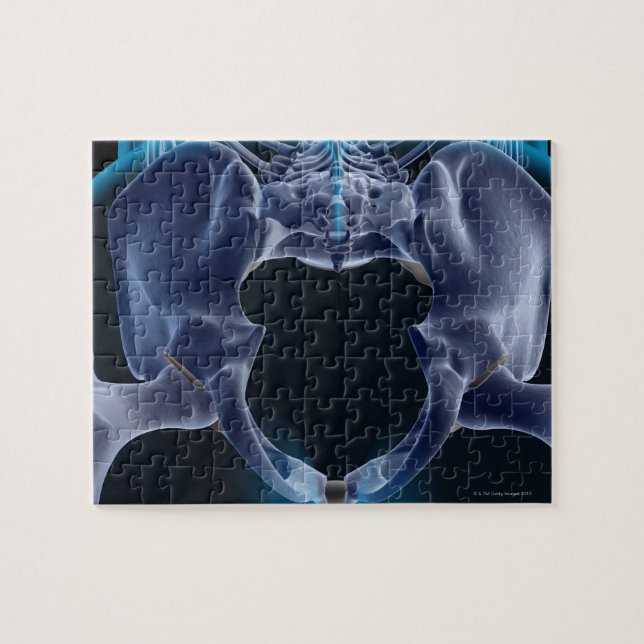 Knochen des Pelvis Puzzle (Horizontal)