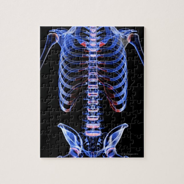 Knochen des Stamm 2 Puzzle (Vertikal)