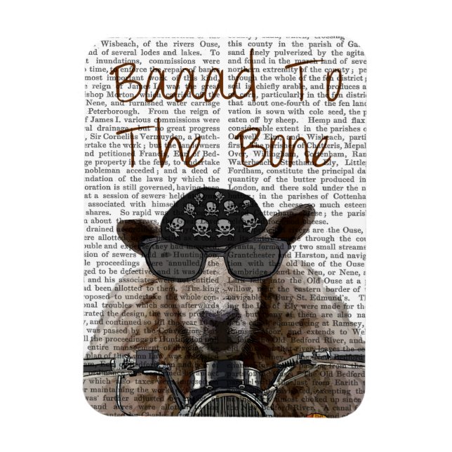 Knochen Magnet (Vertikal)