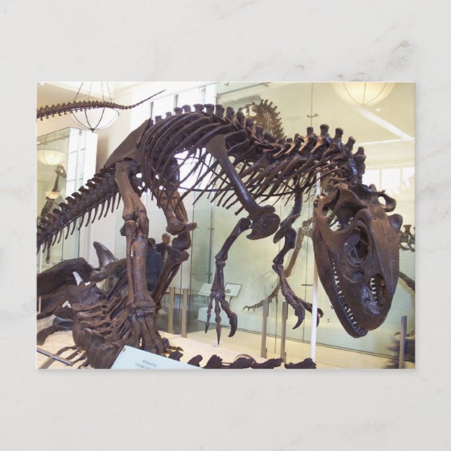 Knochen Postkarte (Vorderseite)