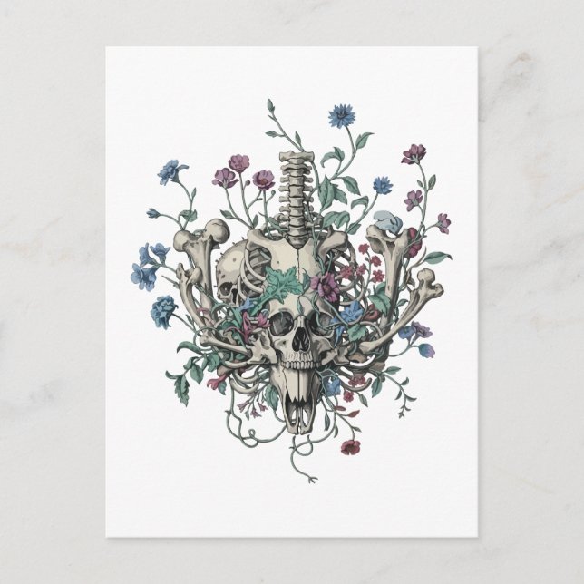 Knochen und Botanik Postkarte (Vorderseite)