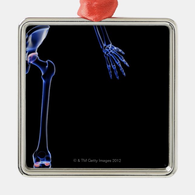 Knochen von dem angesagten silbernes ornament (Vorne)