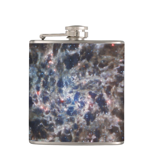 Knochen von Galaxy IC5332 von JWST Flachmann (Vorderseite)