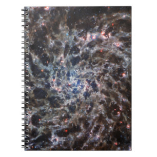 Knochen von Galaxy IC5332 von JWST Notizblock