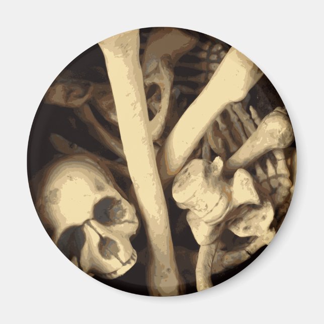 Knochenstall. Magnet (Vorne)