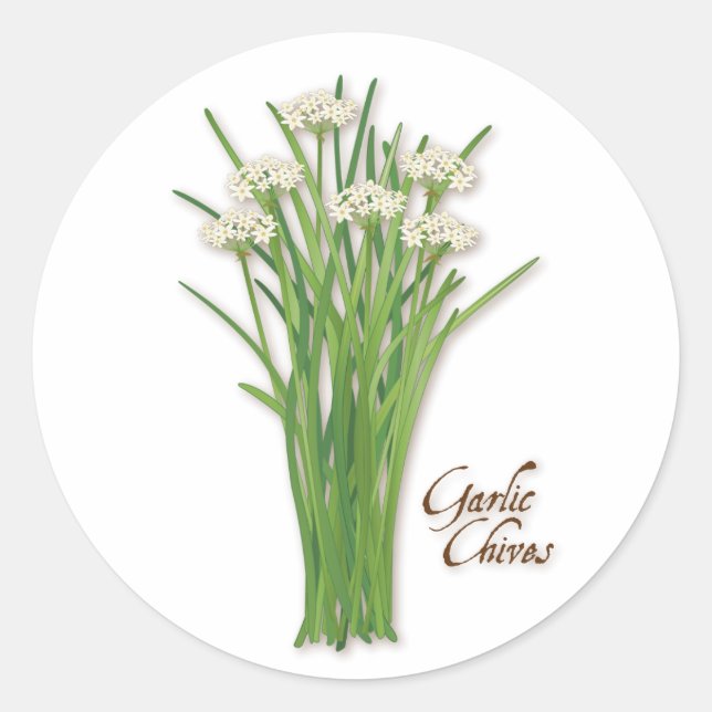 Knolic Chives Herb Round Stickers (Vorderseite)