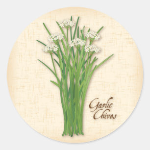 Knolic Chives Herb Round Stickers