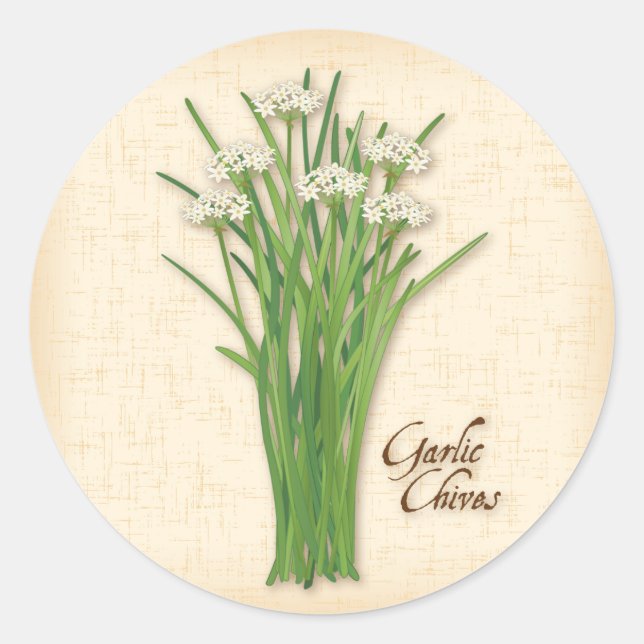 Knolic Chives Herb Round Stickers (Vorderseite)