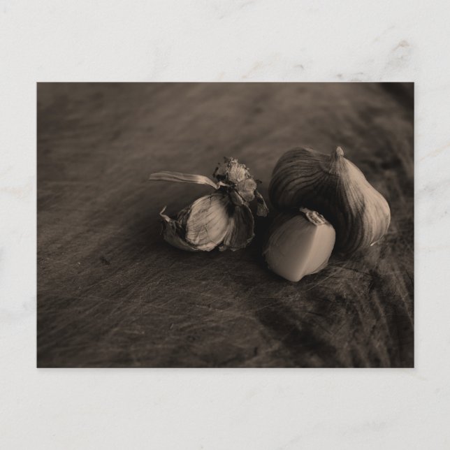 Knolic Still Life Fine Art Fotograf Postkarte (Vorderseite)