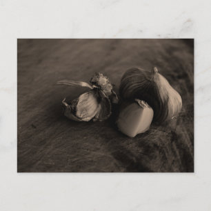 Knolic Still Life Fine Art Fotograf Postkarte