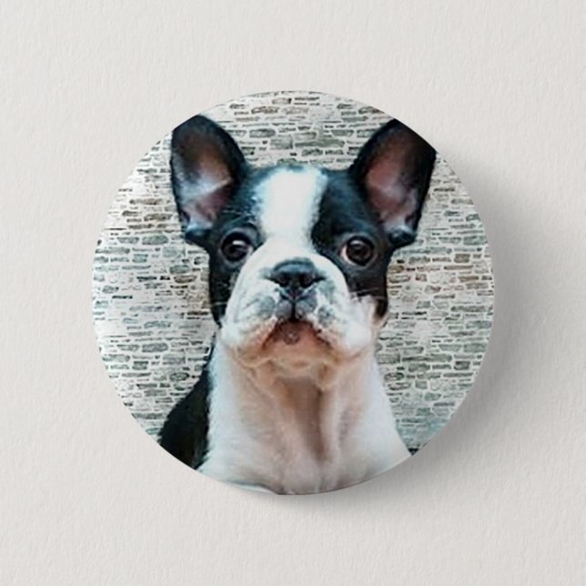 Knopf der französischen Bulldogge Button (Vorderseite)