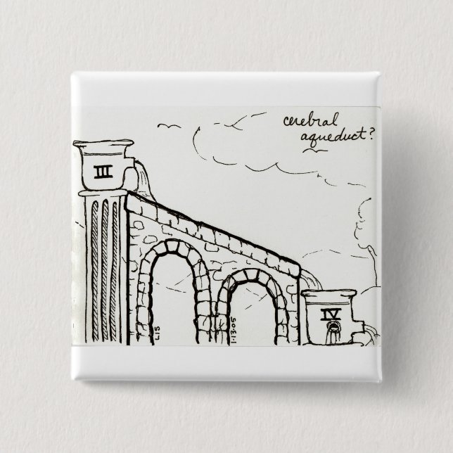 Knopf des zerebralen Aquädukts Button (Vorderseite)