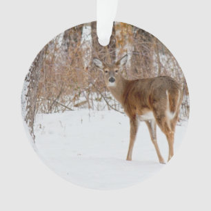 Knopf-Dollar-Rotwild auf Winterweißem Snowy-Gebiet Ornament