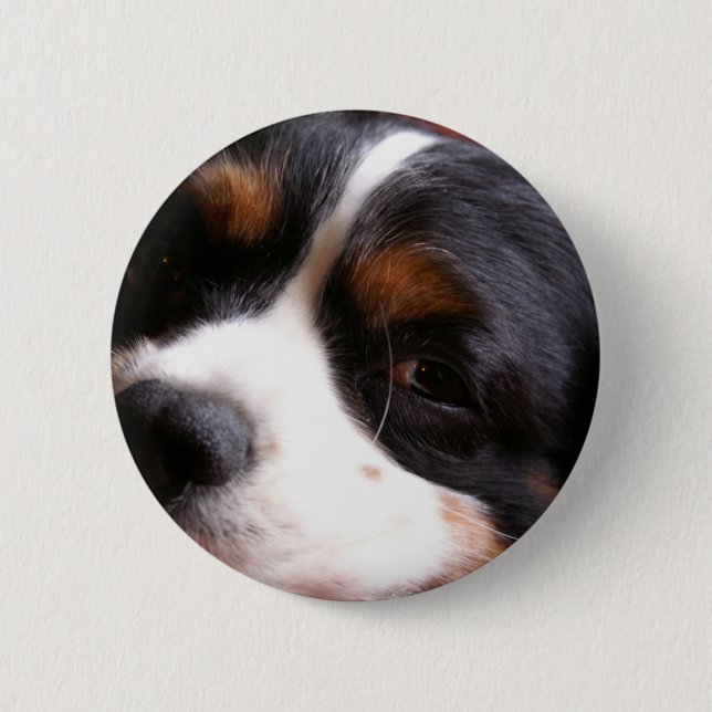 Knopf König-Charles Cavalier Spaniel Round Button (Vorderseite)