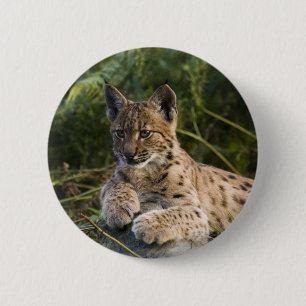 Knopf - Luchs Button