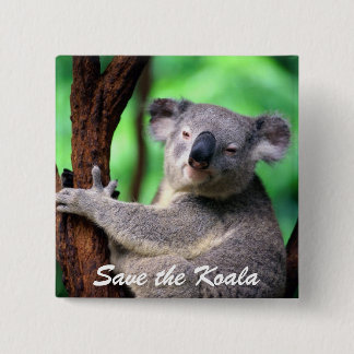 Knopf-Retten Sie den Koala-Bären Button