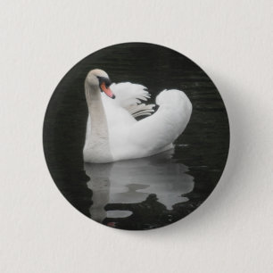 Knopf-Schwan-Schwimmen Button