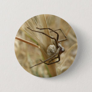 Knopf Spinne und Eier Button