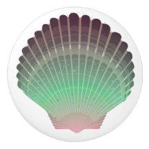 Knöpfe für die Muschel am Strand - SRF