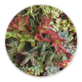 Knöpfe für kundenspezifische Keramik Keramikknauf