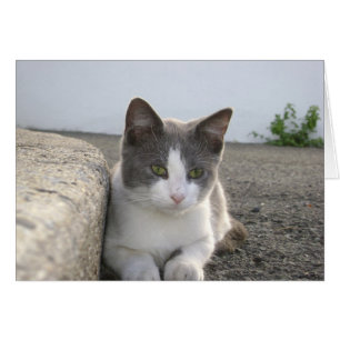 "Knospe in der Farbe "