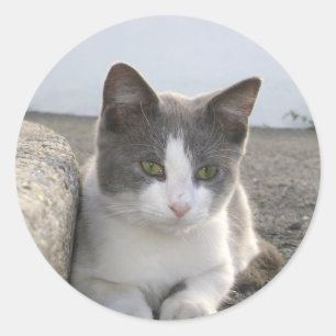 "Knospe in der Farbe " Runder Aufkleber