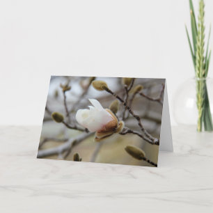 Knospenmagnolien-Blüte, innerer Vers auf Glauben Karte