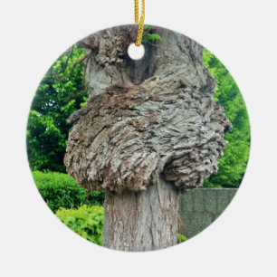 Knot on Tree Trunk, Knar, Nature Green Keramik Ornament